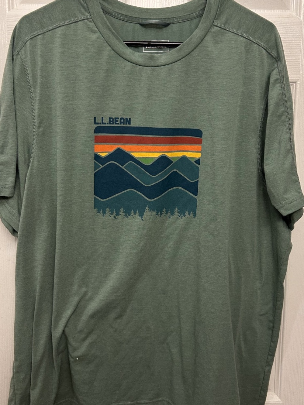 L.L Bean Slightly Fitted T-shirt